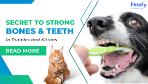 Secret to Strong Bones and Teeth in Puppies and Kittens