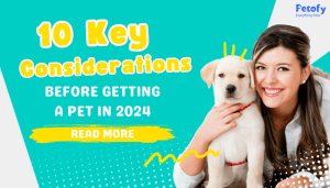 10 Things You Must Know Before Planning to Bring Home New PET in 2024