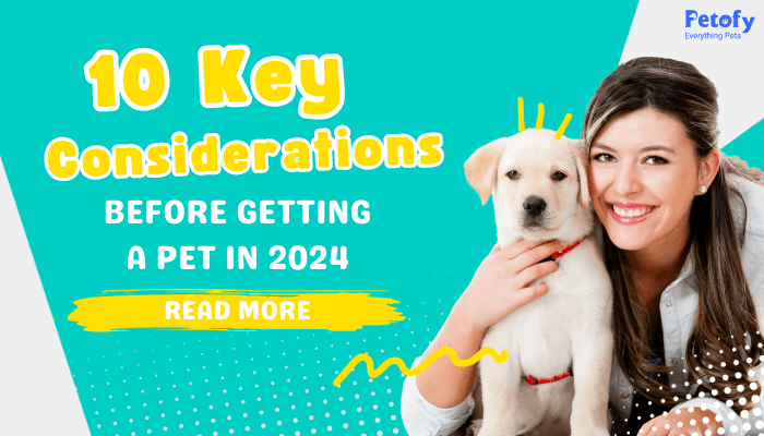 10 Things You Must Know Before Planning to Bring Home New PET in 2024 