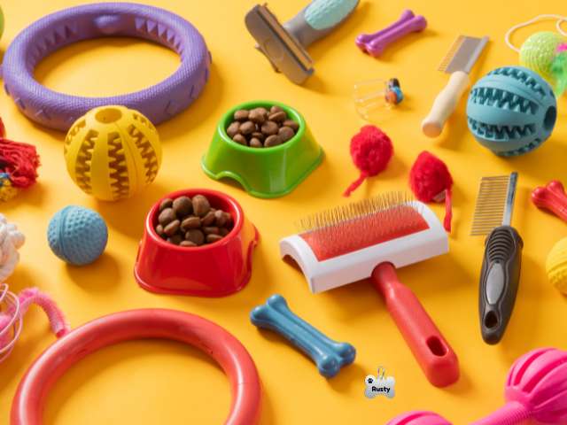 Dog Accessories